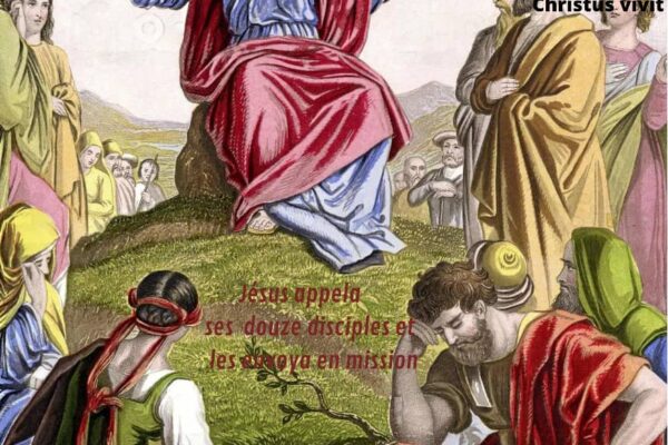 Homélie du 11 ème dimanche du temps ordinaire année A!