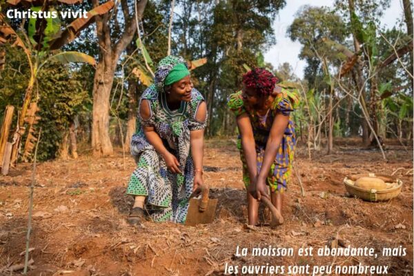 Soyons des chrétiens inlassables qui dégagent le parfum de Dieu!