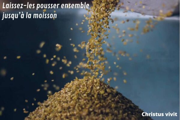 Homélie du 16 ième dimanche du temps ordinaire année A!