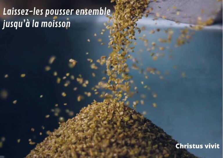 Homélie du 16 ième dimanche du temps ordinaire année A!