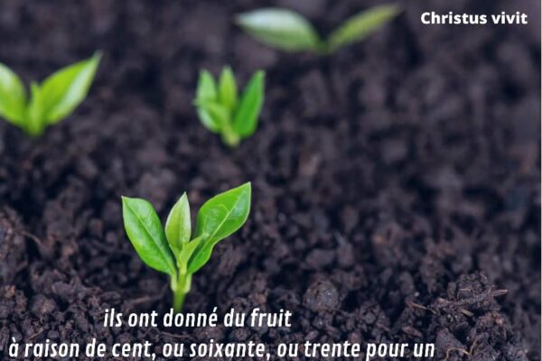 Soyons des terres fertiles et laissons nous transformer!