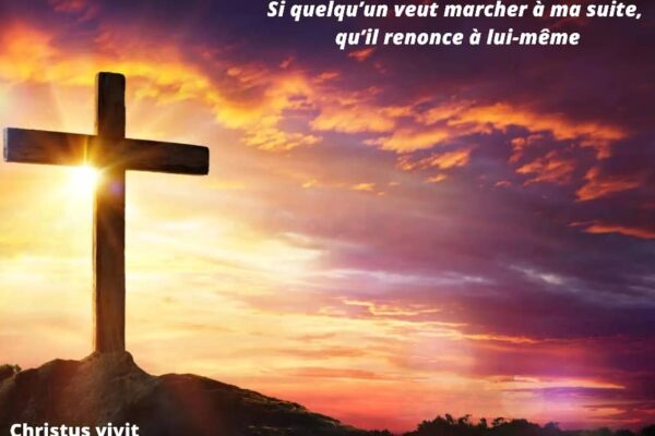 Homélie du 22ième dimanche du temps ordinaire année A!