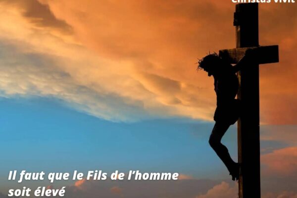 A la croix se trouvent la souffrance,  l&rsquo;espérance et le bonheur!