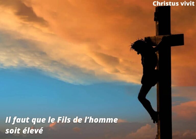 A la croix se trouvent la souffrance,  l&rsquo;espérance et le bonheur!