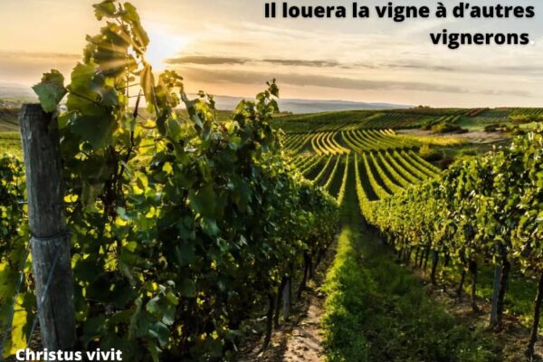 Homélie du 27ième dimanche du temps ordinaire année A!