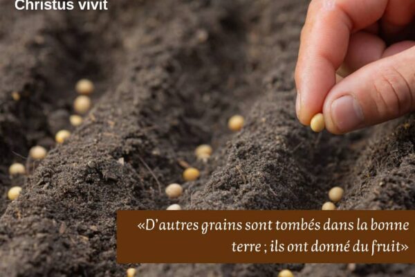 Avec quel type de cœur recevons-nous la Parole de Dieu ?