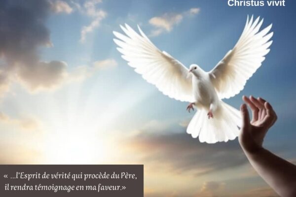 Le Saint Esprit est le rempart des témoins du Christ ressuscité !