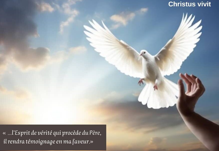 Le Saint Esprit est le rempart des témoins du Christ ressuscité !