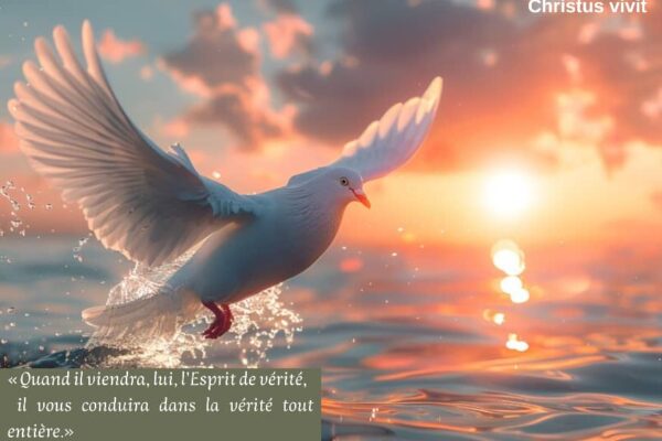 L’Esprit Saint nous donne la claire vision de notre mission et la force de l’accomplir !