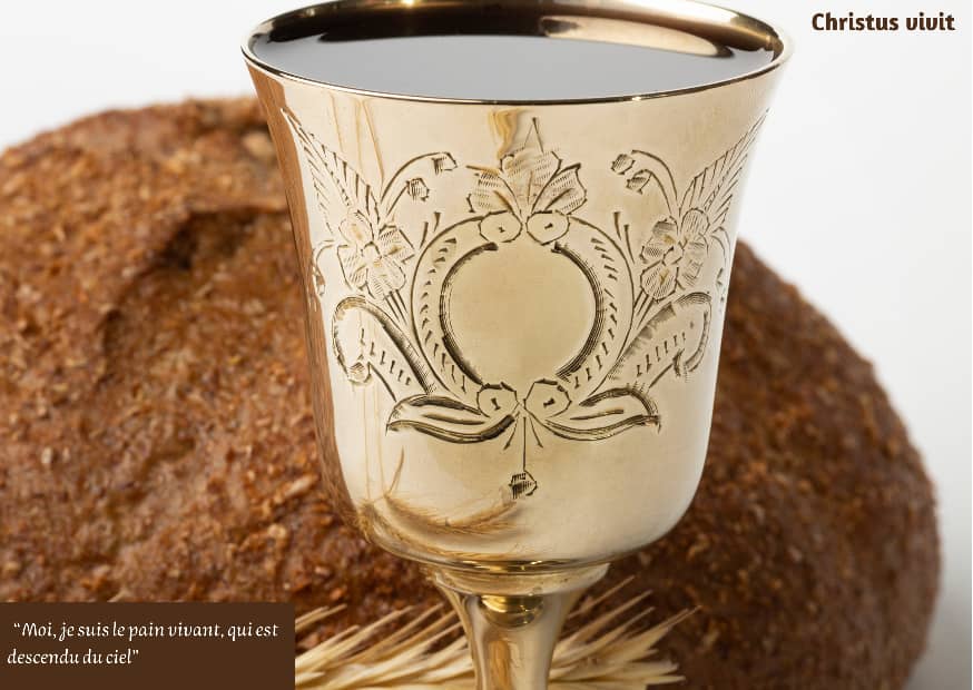 Le Christ nous donne la vie en surabondance!