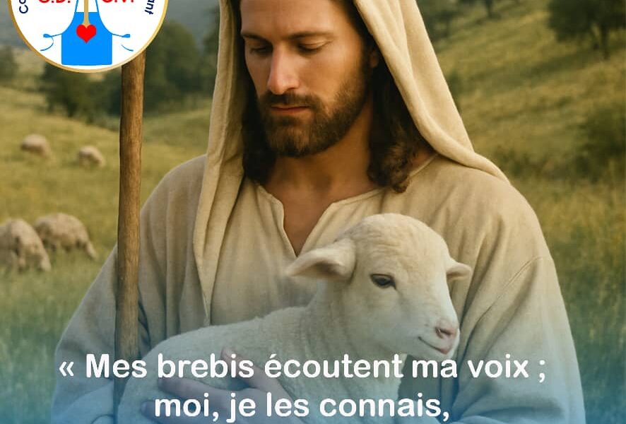 Homélie pour le 4ème dimanche de Pâques_ C