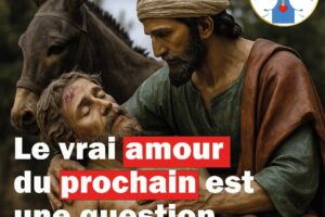 Méditation des textes du 15ᵉ dimanche du Temps Ordinaire – Année C