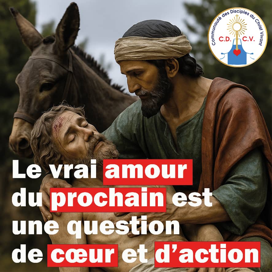 Méditation des textes du 15ᵉ dimanche du Temps Ordinaire – Année C
