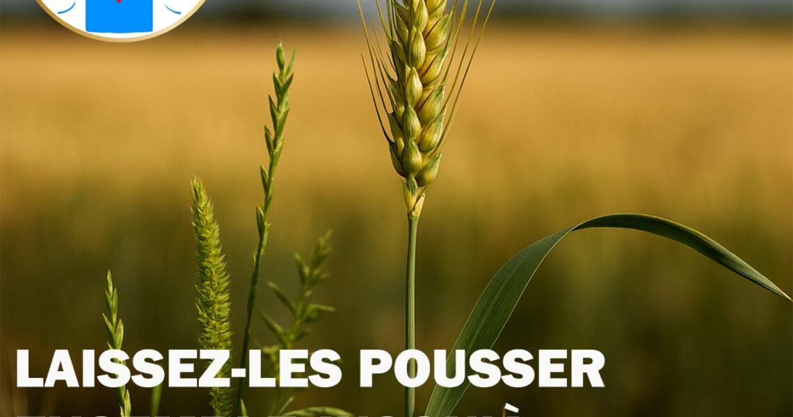 Ne jugeons pas trop vite, n’excluons pas trop vite, n’étiquetons pas trop vite