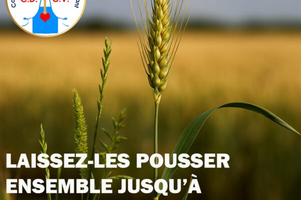 Ne jugeons pas trop vite, n’excluons pas trop vite, n’étiquetons pas trop vite