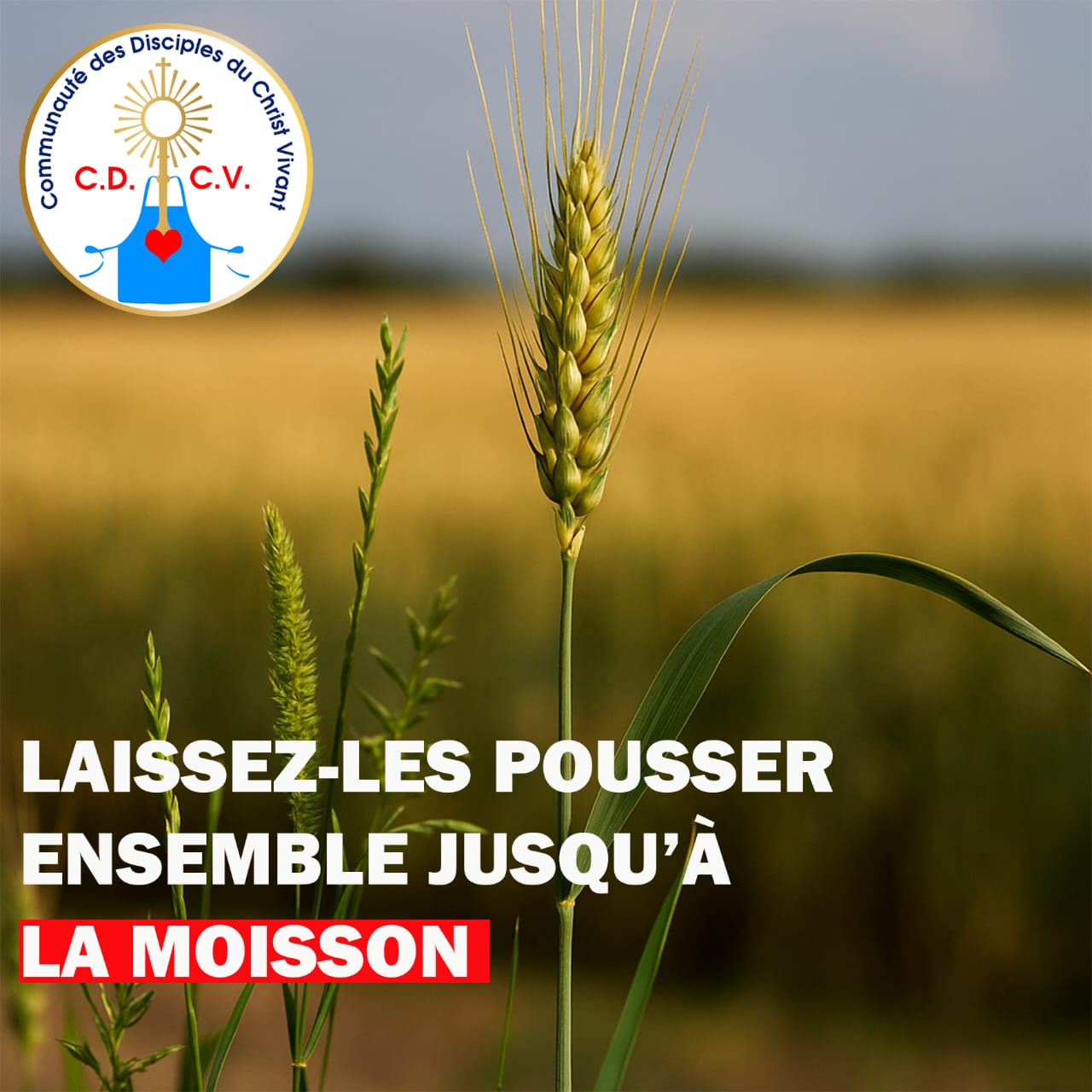 Ne jugeons pas trop vite, n’excluons pas trop vite, n’étiquetons pas trop vite