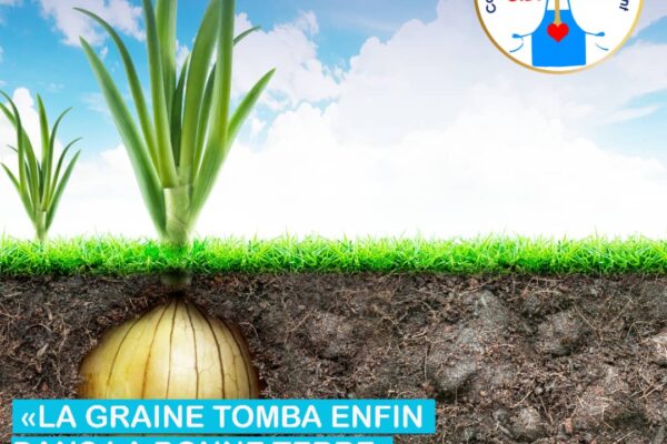 Comment devenir la bonne terre ?