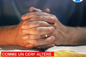 Mon Guide d’Oraison Quotidienne_du lundi 03 au dimanche 09 novembre 2025