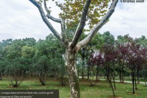 Les grandeurs humaines s’écroulent, mais la Parole du Seigneur demeure!