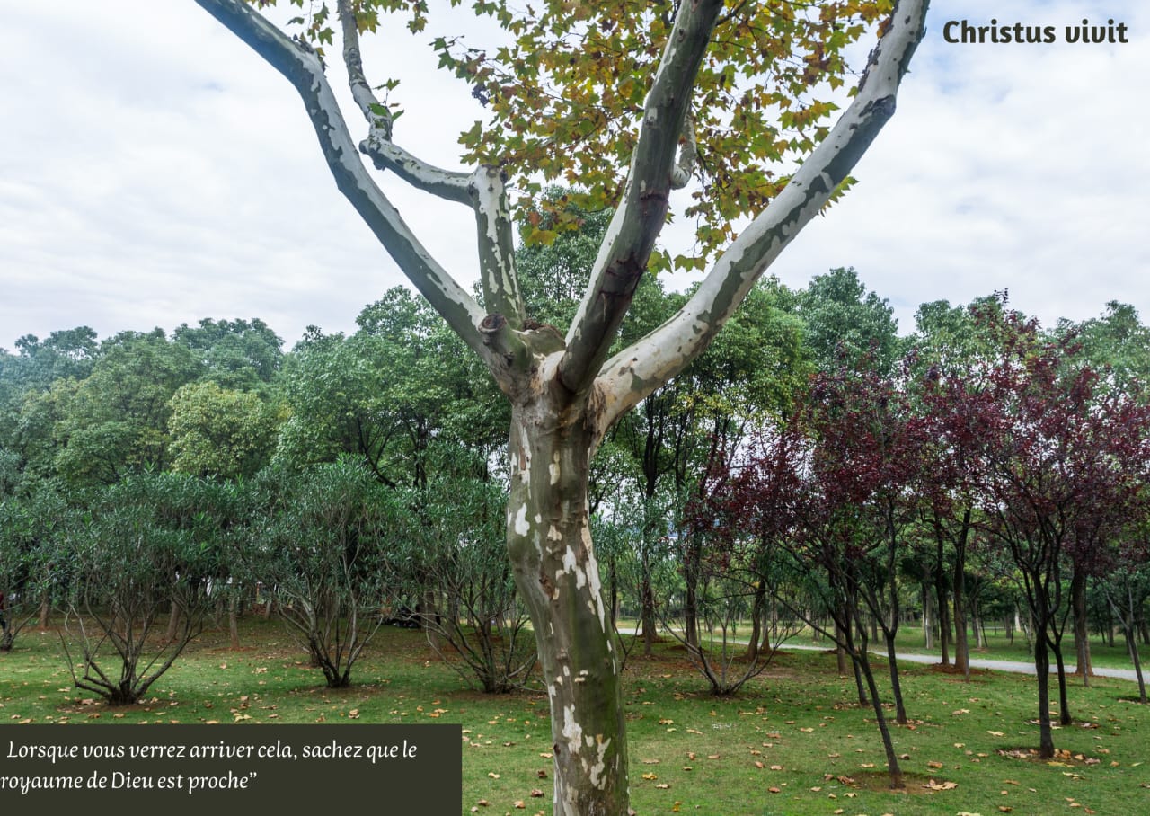 Les grandeurs humaines s’écroulent, mais la Parole du Seigneur demeure!