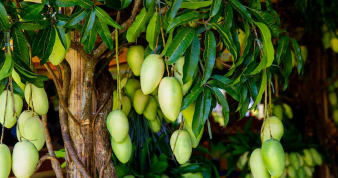Dieu sème encore : saurons-nous porter du fruit aujourd’hui ?
