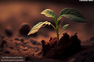 Laisser Dieu faire grandir ce que nous ne maîtrisons pas!