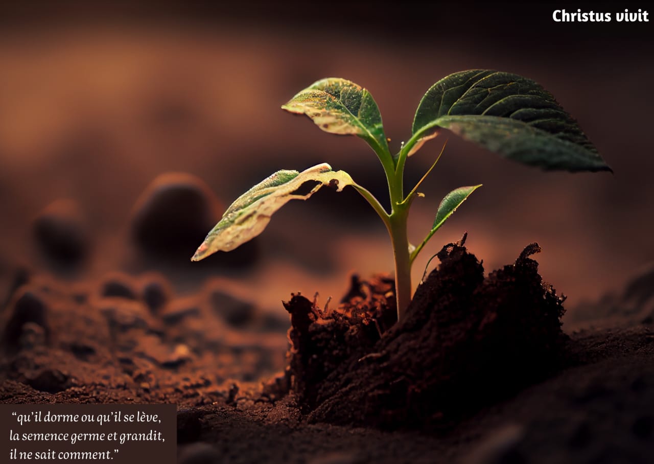 Laisser Dieu faire grandir ce que nous ne maîtrisons pas!