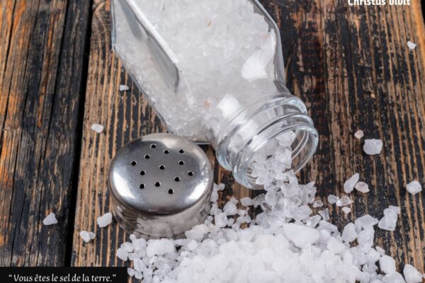 Homélie du 5ième dimanche du temps ordinaire année A!