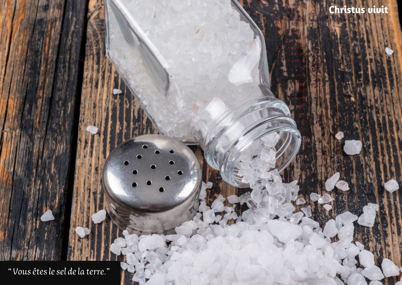 Homélie du 5ième dimanche du temps ordinaire année A!