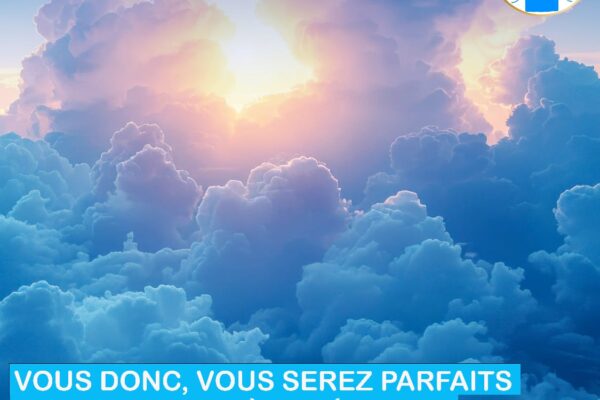 La recherche de la perfection est de ce monde !