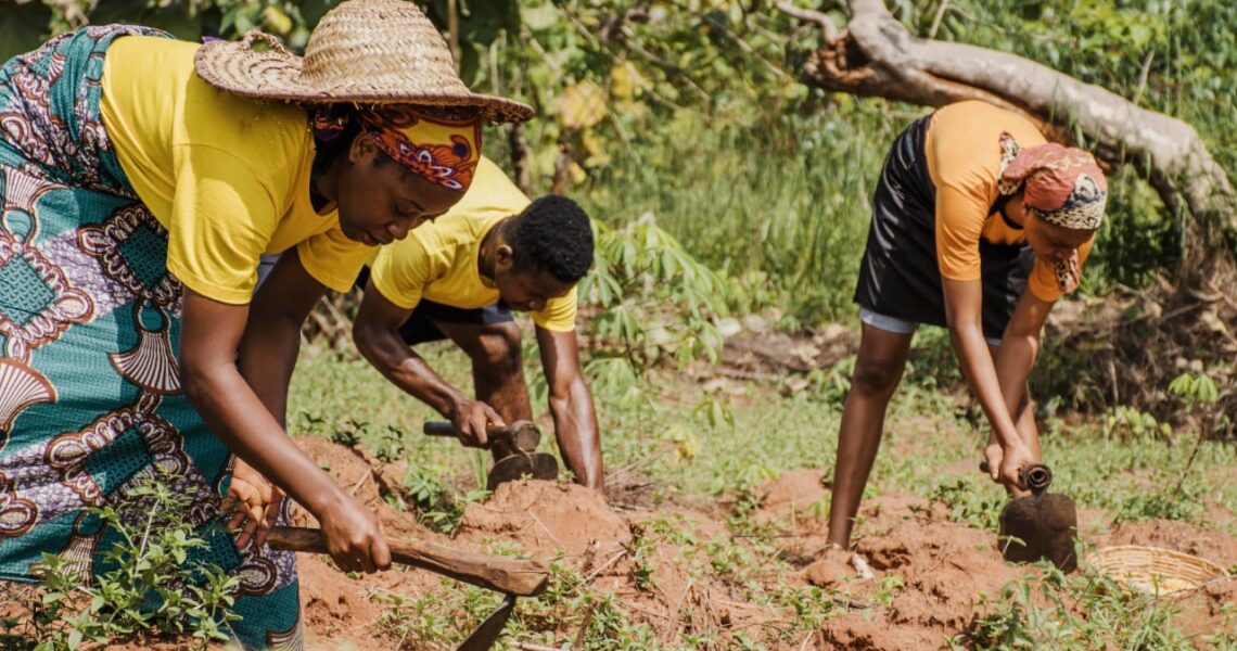 Faire le bien s&rsquo;apprend et se cultive!
