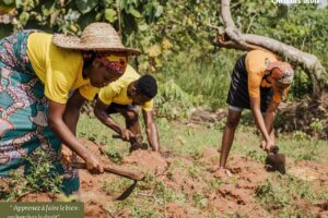 Faire le bien s&rsquo;apprend et se cultive!